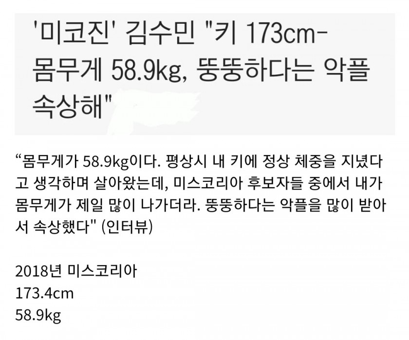 뚱뚱하다고 악플받은 어느 미스코리아 후보자