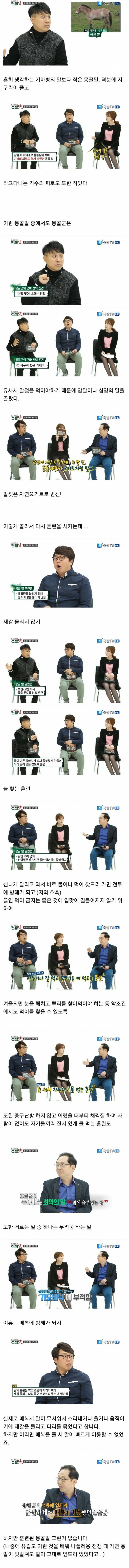 징기스칸이 정복왕이 될 수 있었던 이유중 하나